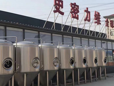 新兴镇精酿啤酒设备厂—如何判断精酿啤酒设备的密封件需要更换？