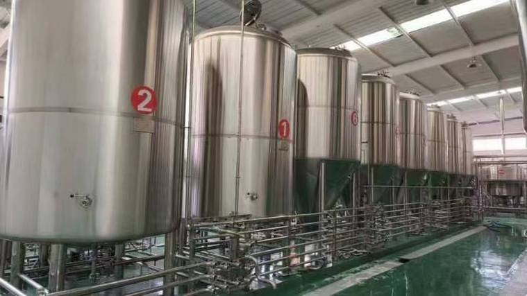 新兴镇日产10吨精酿啤酒设备多少钱?2026年全套报价帮你算明白